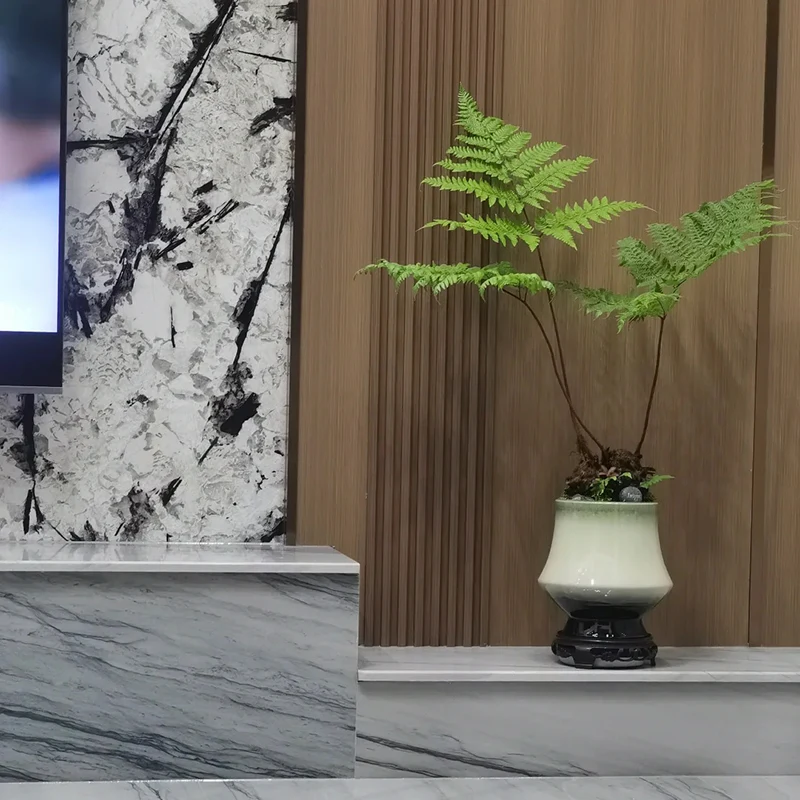 Mont Blanc Quartzite Slab